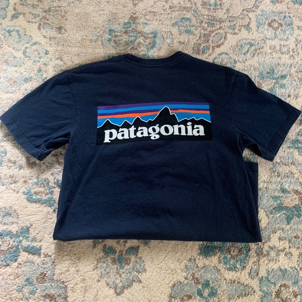 Patagonia tshirt